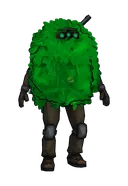 Bush